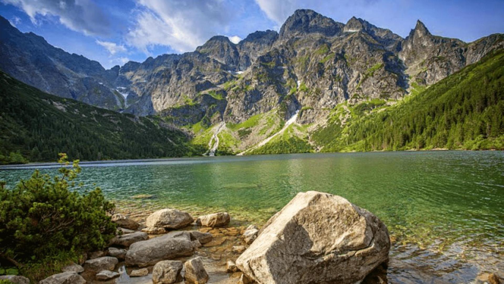 Apartament Krupowki 36/8 Zakopane Exteriör bild