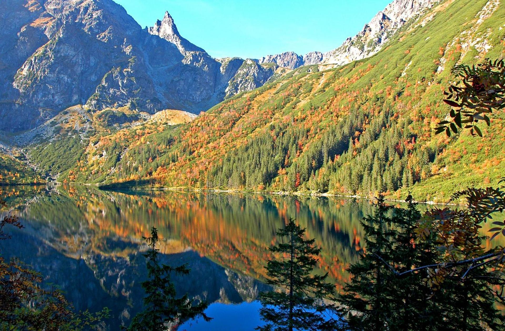 Apartament Krupowki 36/8 Zakopane Exteriör bild